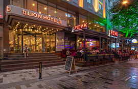 هتل lion istanbul
